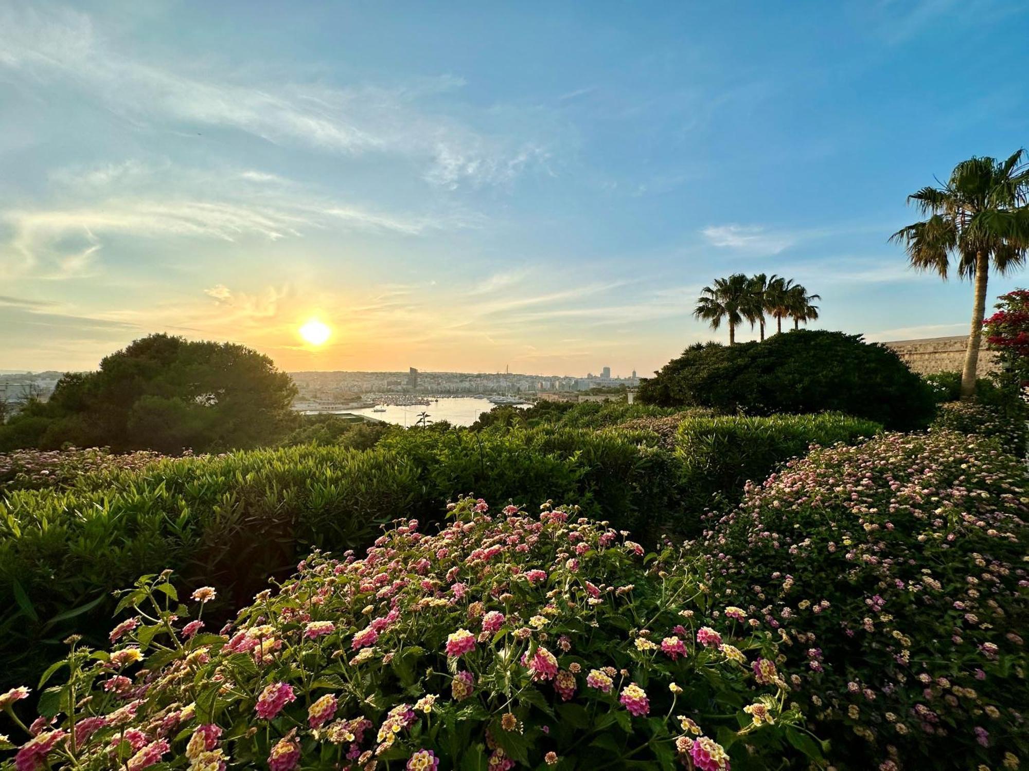 The Phoenicia Malta - The Leading Hotels Of The World Floriana Exterior photo Sunset at the San Diego Botanical Garden